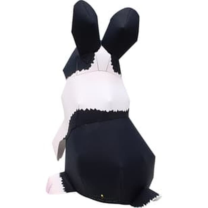 67 Gambar Hewan Kelinci Hitam Putih Terbaru