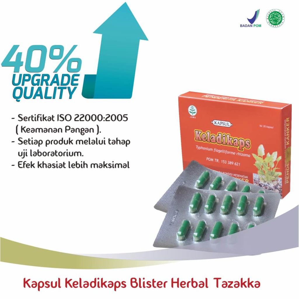 obat herbal kapsul blister keladikaps original tazakka ampuh mengobati kanker tumor miom alami