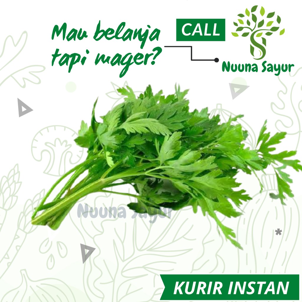 

DAUN SELEDRI CELLERY SAYUR FRESH BERSIH