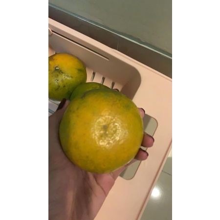 

jeruk madu 1 kg