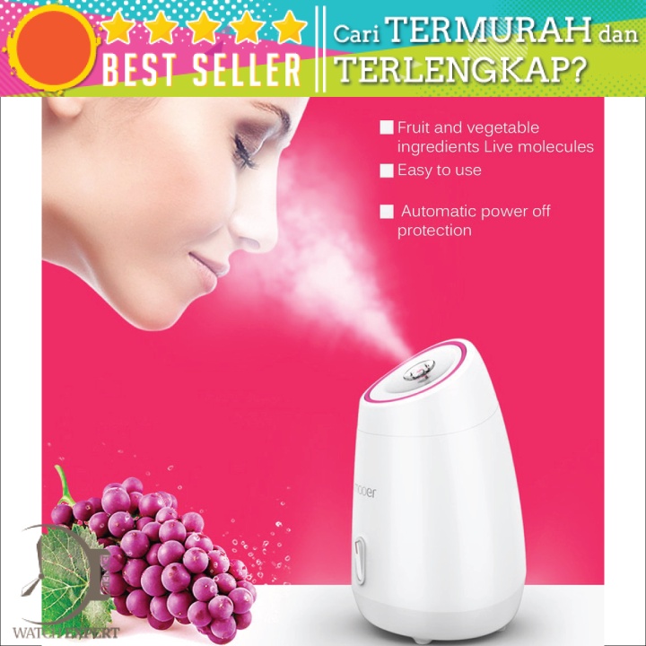 Bisa COD Steamer Muka Nano Spray Steam Machine Beauty Humidifier - Taffware HUMI MR-Z1