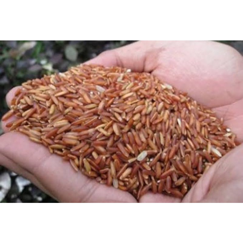 

Beras Merah/ Beras Organik/ Beras untuk diet 1kg