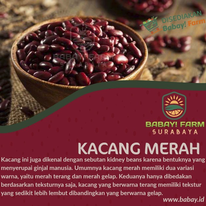 

Kacang Merah 250 500 gr / 1 kg