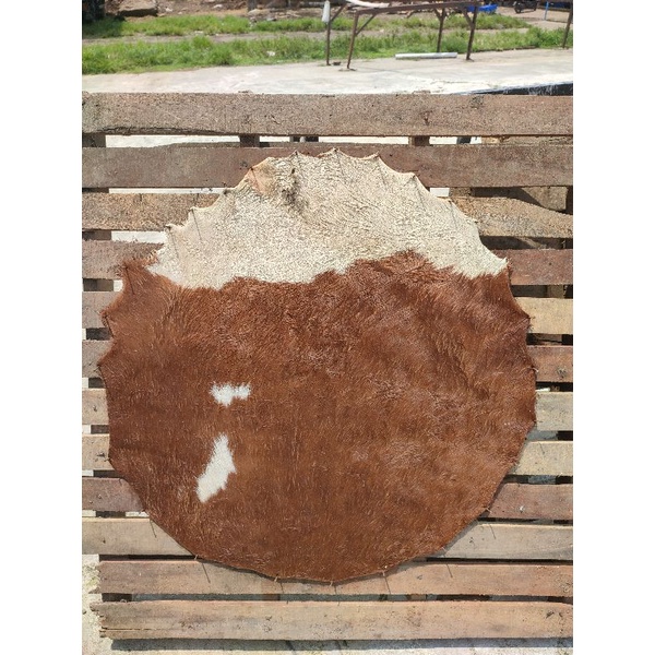 (BEDUG) KULIT BEDUG DUG DUG DIAMETER 60