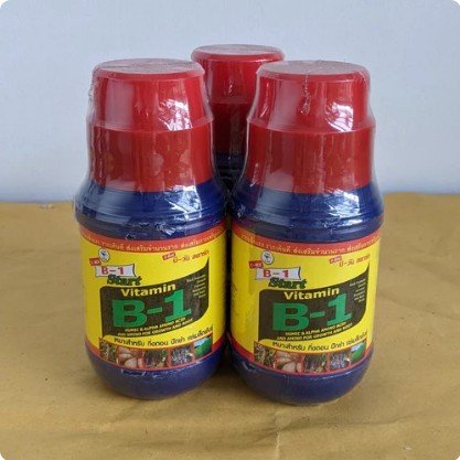 Pupuk B1 start vitamin Thailand 500 ml untuk pupuk anggrek Anti stress