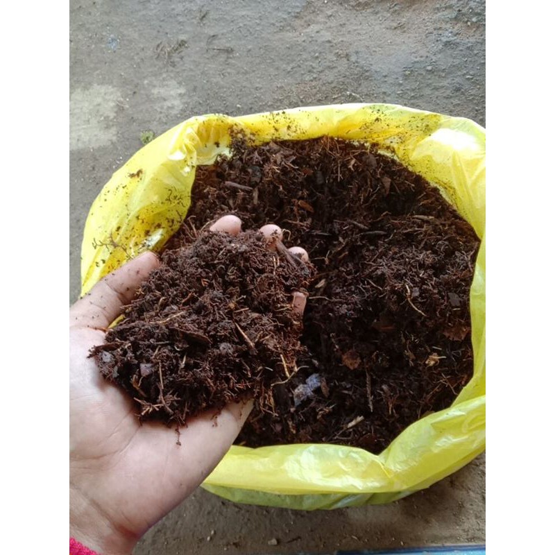 Media Tanam Tanah Serabut // Tanah Humus Hutan (500gr)