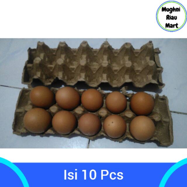 

Telur Ayam Isi 10 Pcs