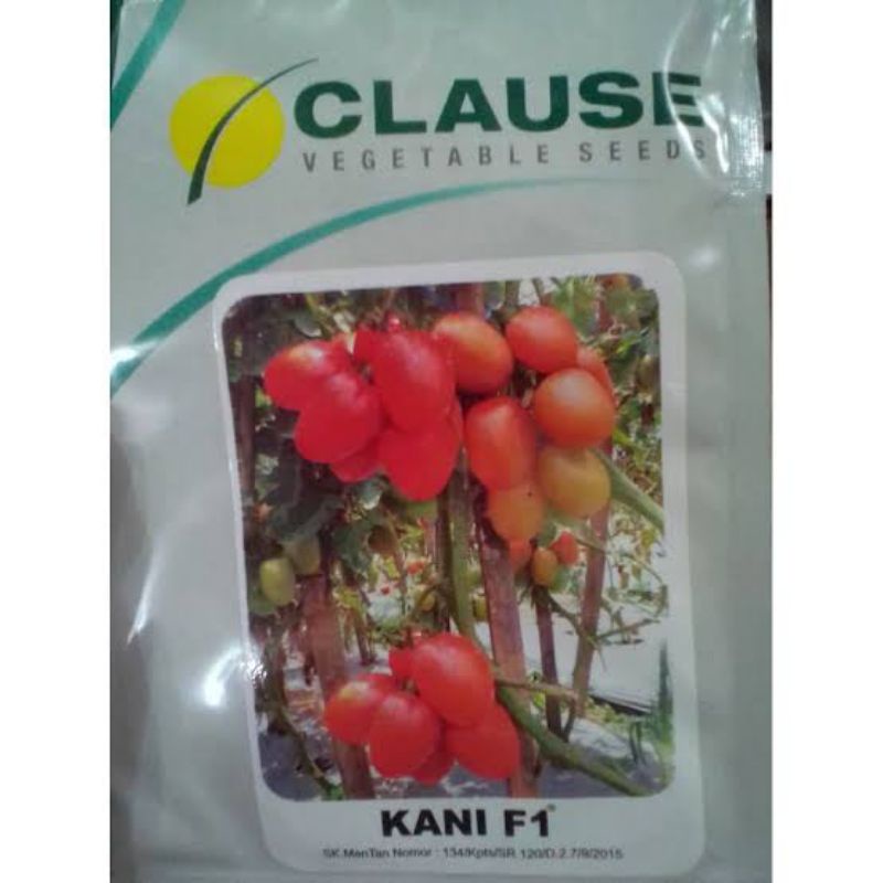 BENIH TOMAT KANI F1/10 GRAM