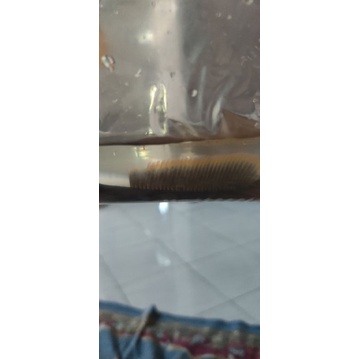 limbata gondrong rim tebal