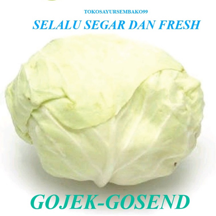

Sayur Kubis Gubis Kol Putih Segar Fresh 500 gram - 1 kg Surabaya