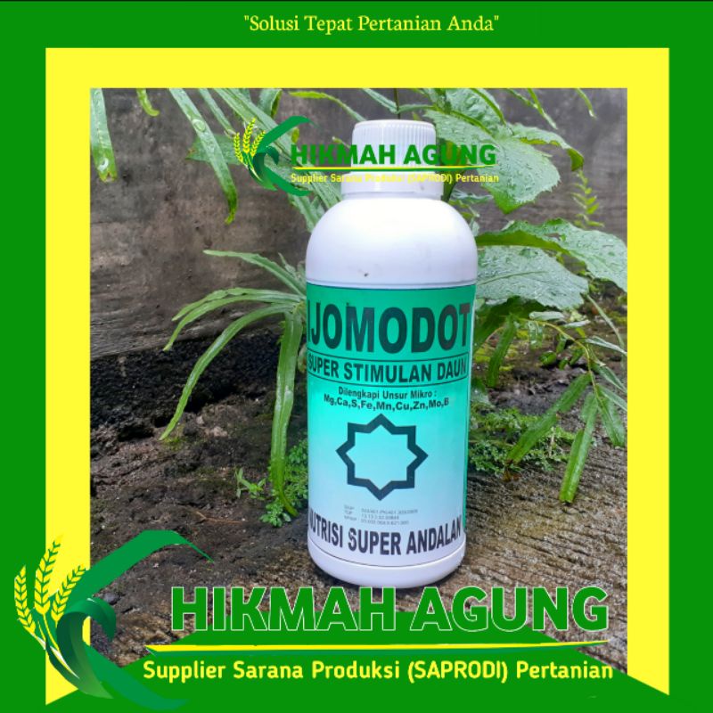 PUPUK CAIR TANAMAN HIAS DAUN, Pupuk Daun 500ml/IJO MODOT