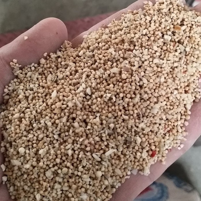 

Dijual Pasir Pantai Bali Lombok Terlaris