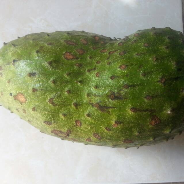 

Buah sirsak fresh di petik dari pohon ya langsung netto 1000gr