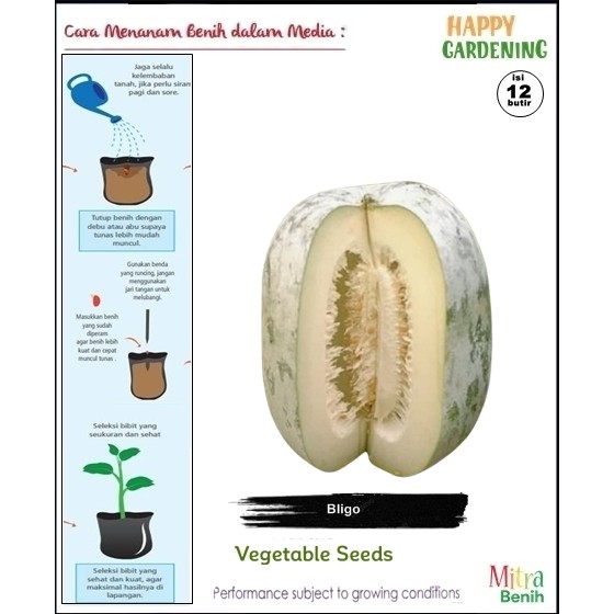 bibit biji benih tanaman Bligo  Kundur isi 12butir