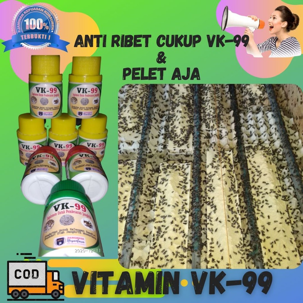 Vitamin jangkrik VK-99