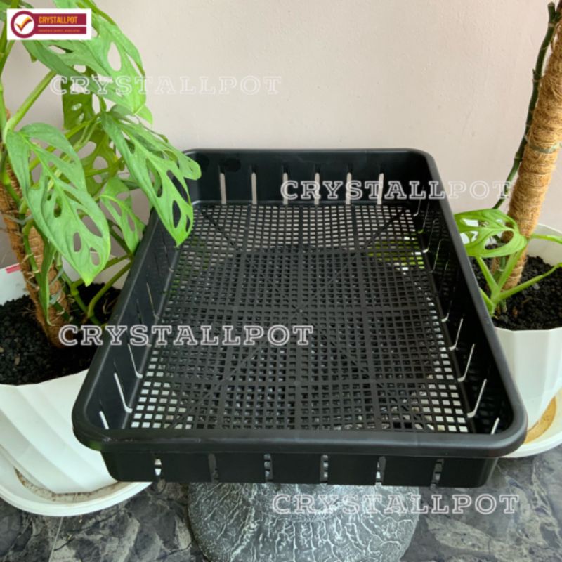 Tray pot untuk semai bibit hidroponik 50cm - TRAY POT NKT 50CM