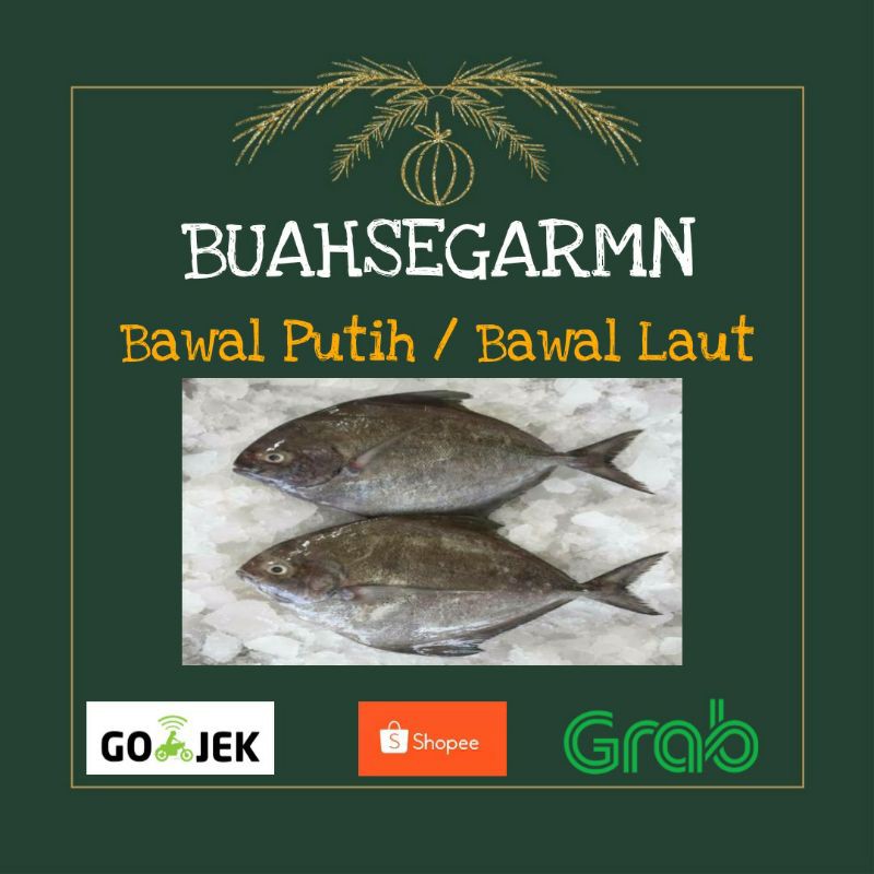 

Ikan bawal laut - 1kg