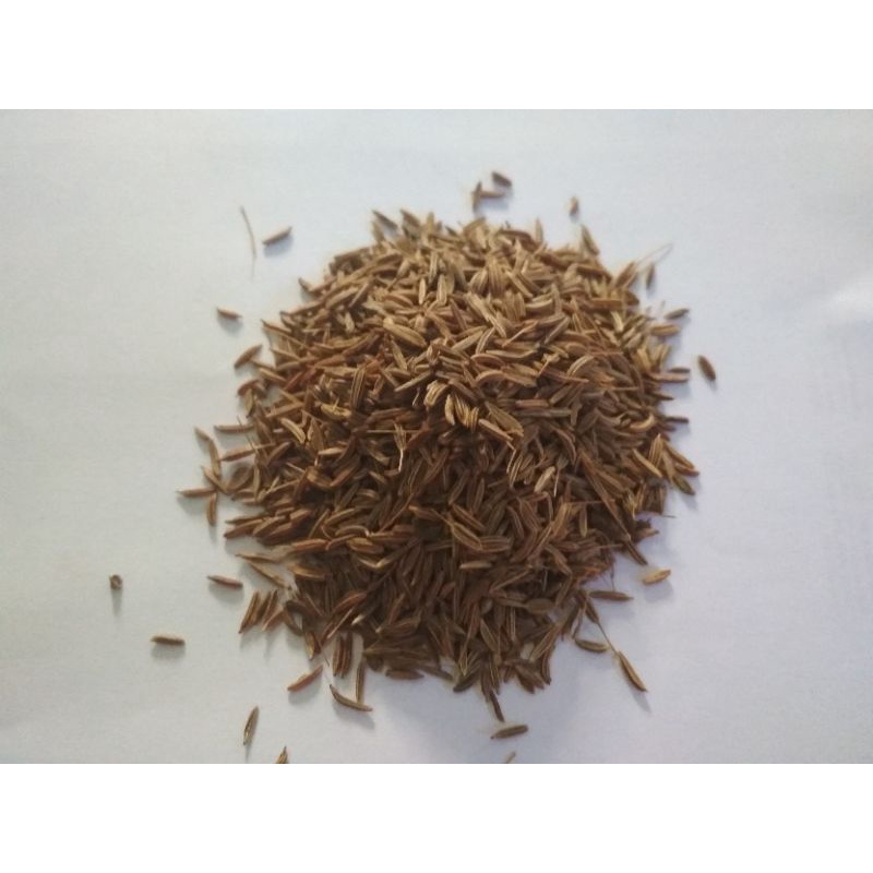 

jinten putih ( cumin )