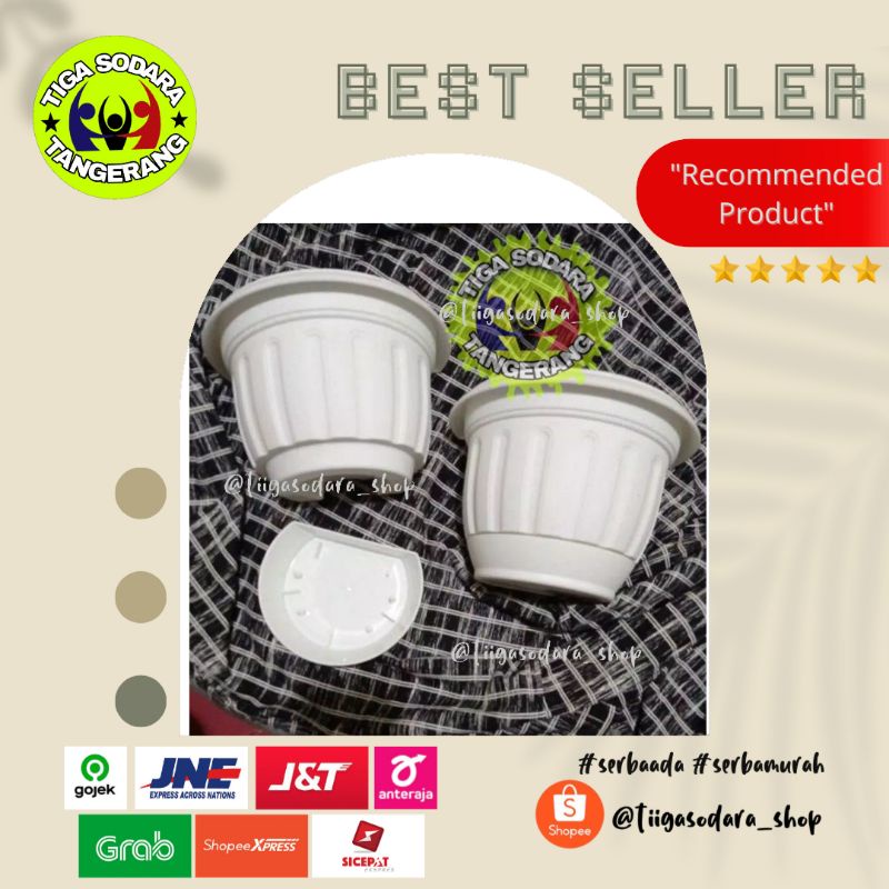 Pot Lion Star Lotus 6 Dinding Putih /Pot dinding Lotus