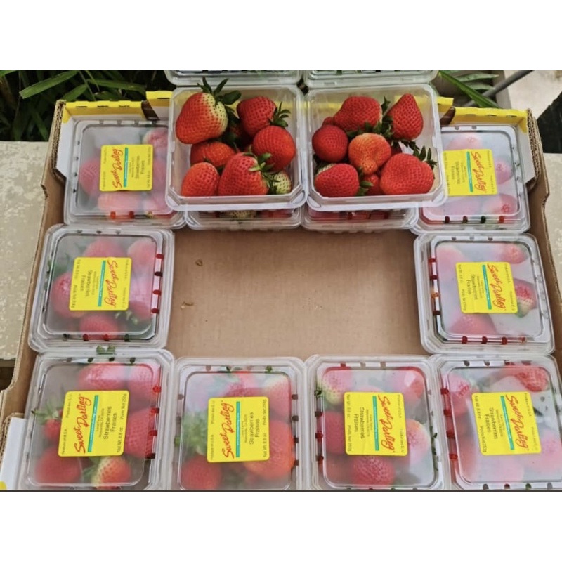 

Strawberry USA