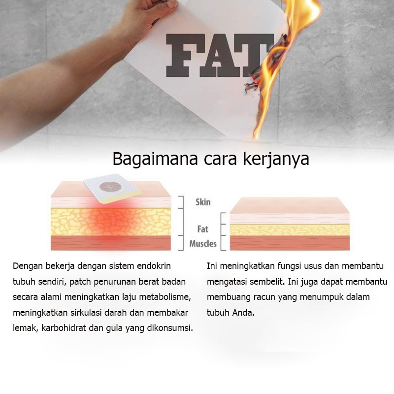 Koyo Pelangsing Slim Patch Pelangsing dan Detox Patch 10 tablet Patch pelangsing membakar lemak herbal botani untuk mengeluarkan racun dari tubuh