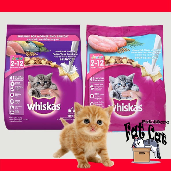 Makanan kucing Whiskas Junior 450gr with milk 450 gram