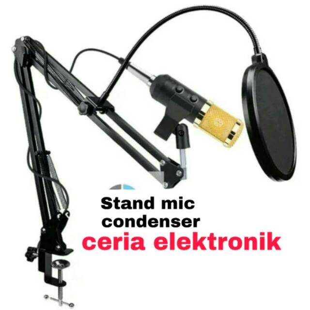Stand mic condenser
