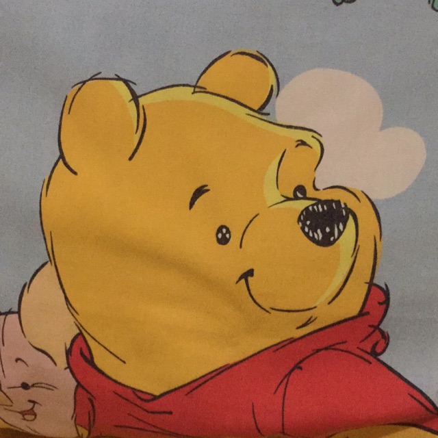 pooh290