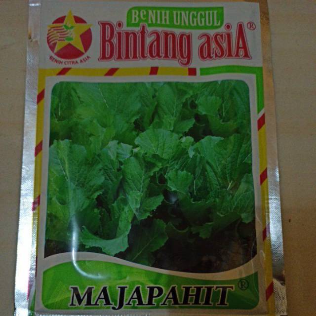 Benih Bibit Sawi Pahit Majapahit