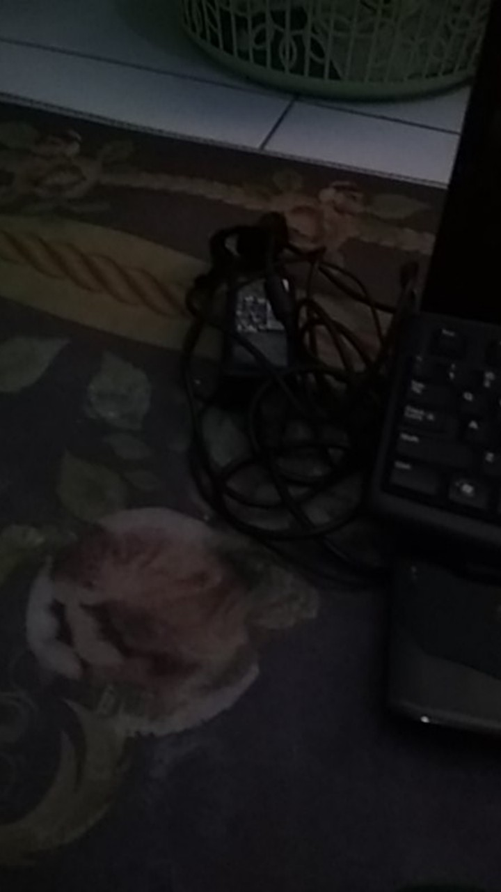 Polisher Variable Speed Mesin Poles Mobil Polisher Mollar P5500 Modern