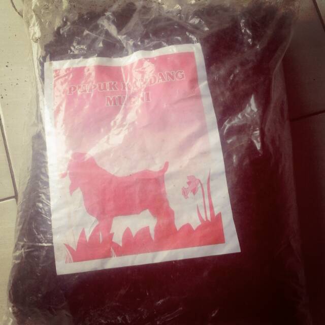 Pupuk kandang kambing murni