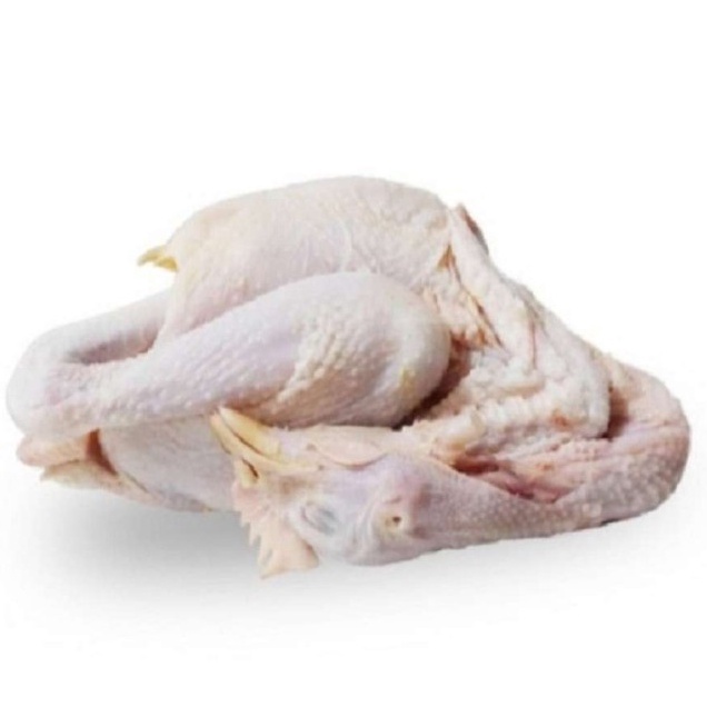 

ayam kampung halal 1 kg