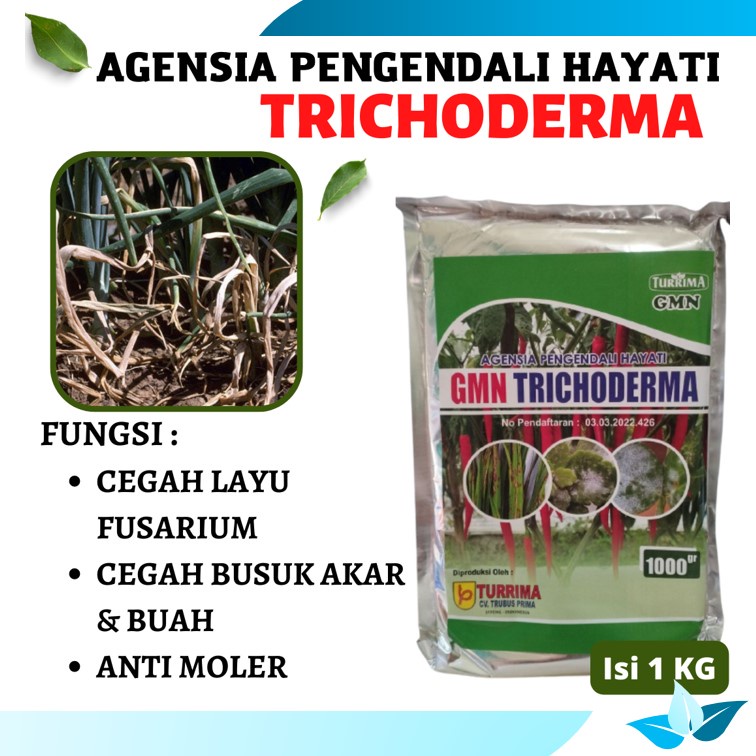 Pupuk Trichoderma 1 Kg, Pupuk Hayati Atasi Hawar Daun Tanaman Jagung, Pupuk Pelebat Jagung, Pupuk Ja