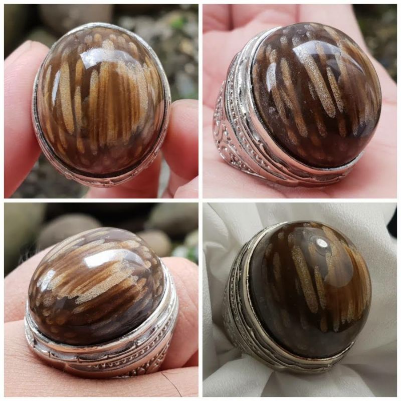 Batu akik gemstone fosil aren