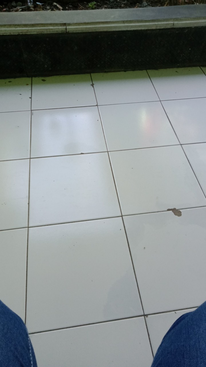 Baju Batik Couple Ayah Dan Anak Cowok Motif Manuk Tarung Abu / Kemeja Ayah Dan Anak Terlaris / Cod