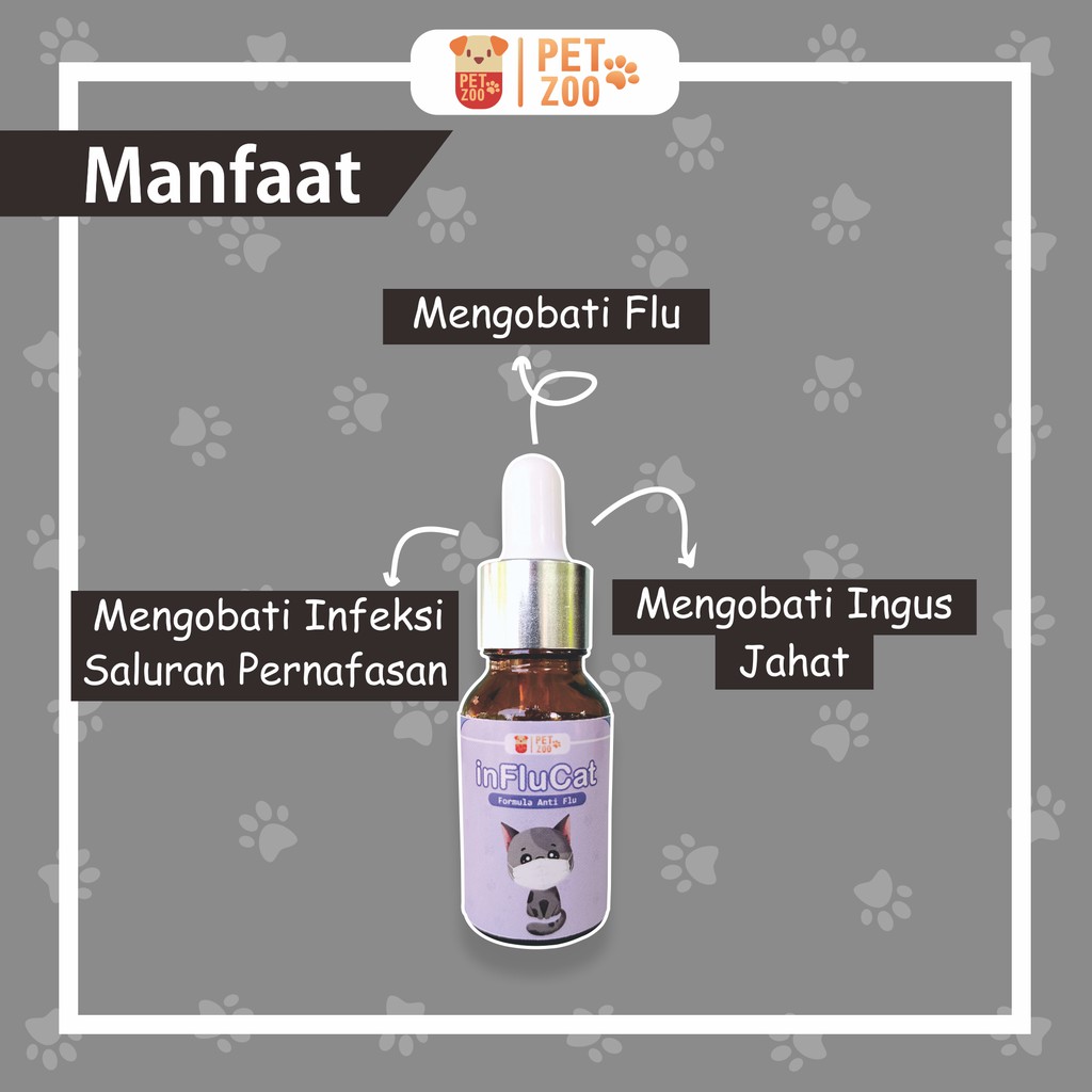 INFLUCAT Obat Pilek Kucing Obat Flu Kucing Ampuh Flucat Doxy Cat Stop Flu Cat Obat Batuk Kucing Obat Flu Batuk Demam Kucing Coldy Cat Obat Bersin dan Pilek Kucing Obat Kucing Ingusan