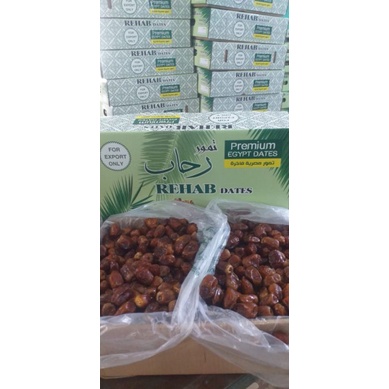 Kurma Mesir Rehab