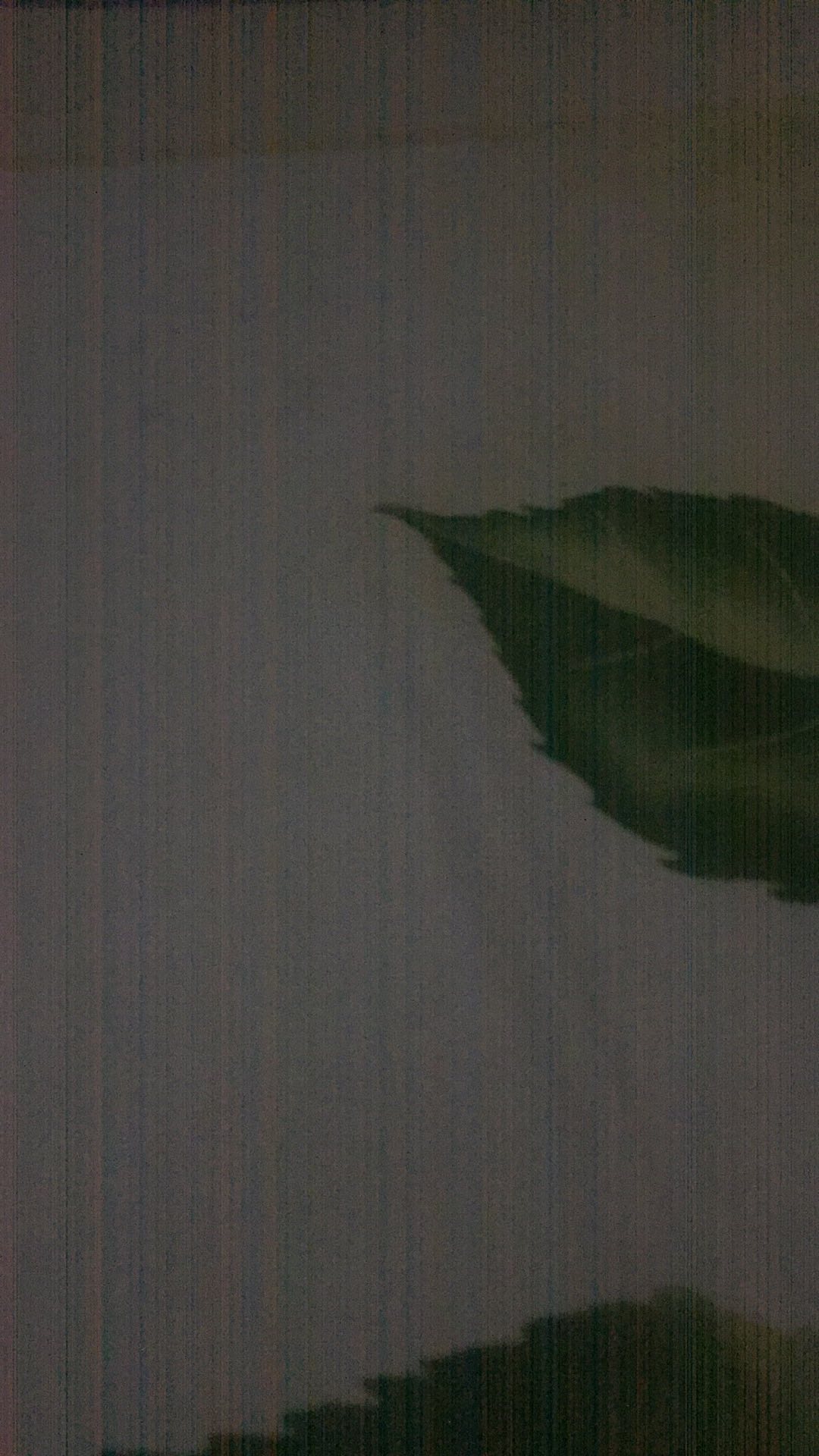2 In 1 Keset Kaki Dapur Alas Kakidapur  / 2 In 1 Kitchen Floor Mat (large+medium)