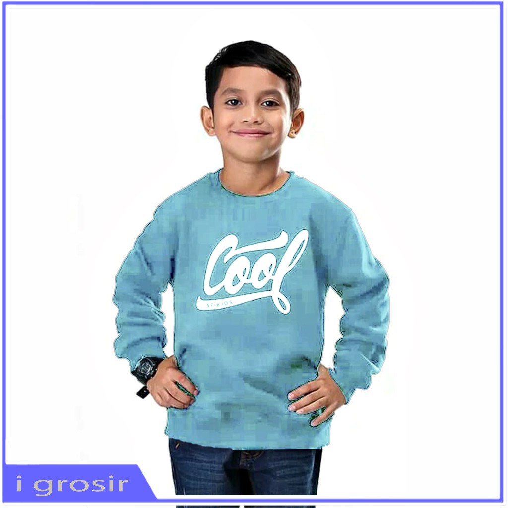 SWEATER ANAK COWOK 1 - 6 TAHUN SWEATER ANAK LAKI LAKI HOODIE JAKET ANAK LAKI LAKI 4 TAHUN