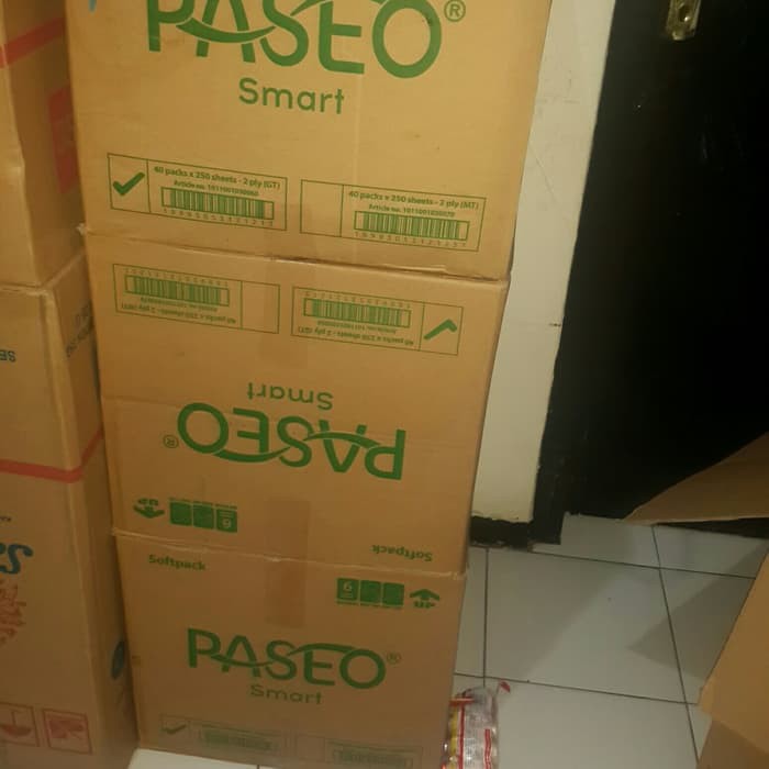 Paket Perawatan Wajah 1 Karton Tisu/Tissue Paseo Smart 250 Sheet Murah Kecantikan OBGA0097