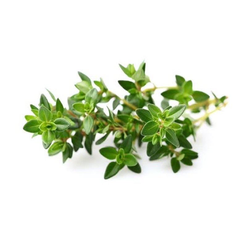 

Thyme Organik 50g