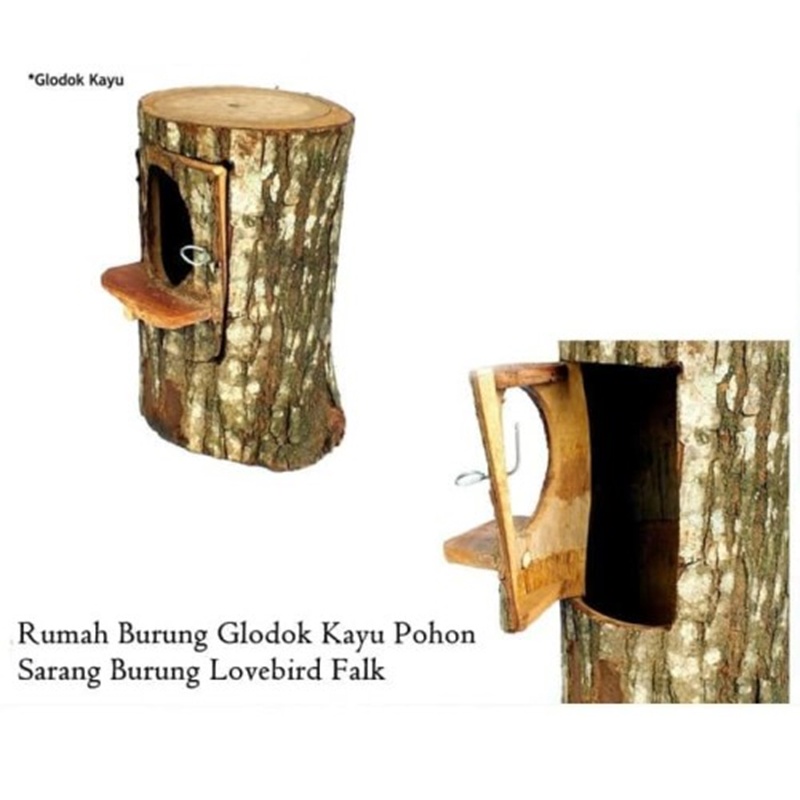 Glodok Batang Kayu / Glodok Sarang Burung Murai Kacer Kenari Lovebird