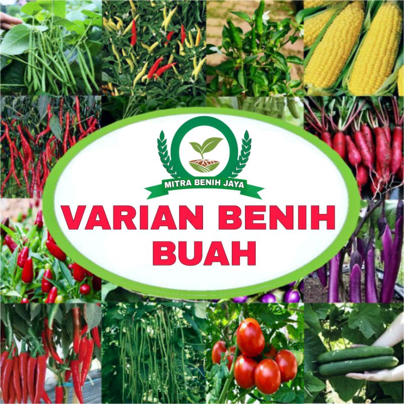 Aneka Benih Buah Buahan Super Unggulan / Benih Buah Bibit Buah Biji Buah / Bibit Sayuran / Benih pak