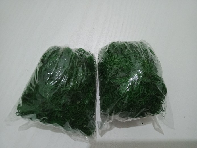 Rumput Kayu Angin Hijau 20gr