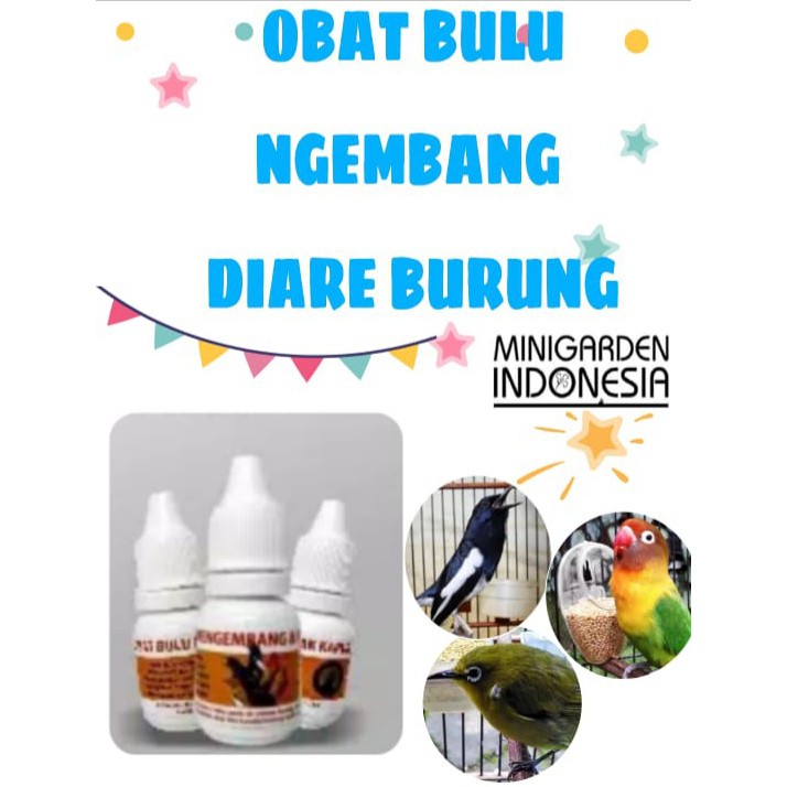 OBAT BULU NGEMBANG BURUNG obat diare berak kapur darah vitamin daya tahan tubuh pencernaan burung