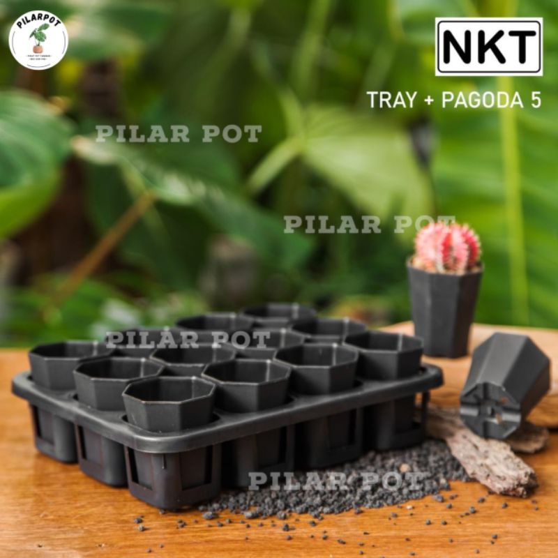 1 set Tray + POT BUNGA NKT PAGODA MINI 5CM HITAM | tray semai bibit