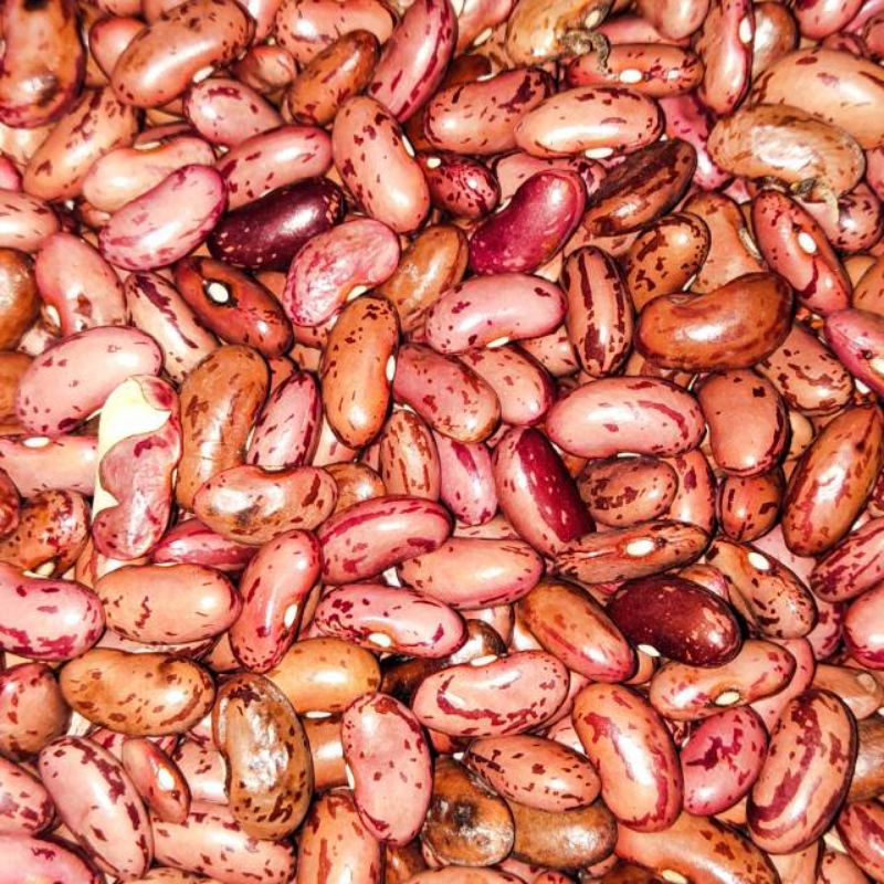 

KACANG MERAH KUWALITAS 1 KG