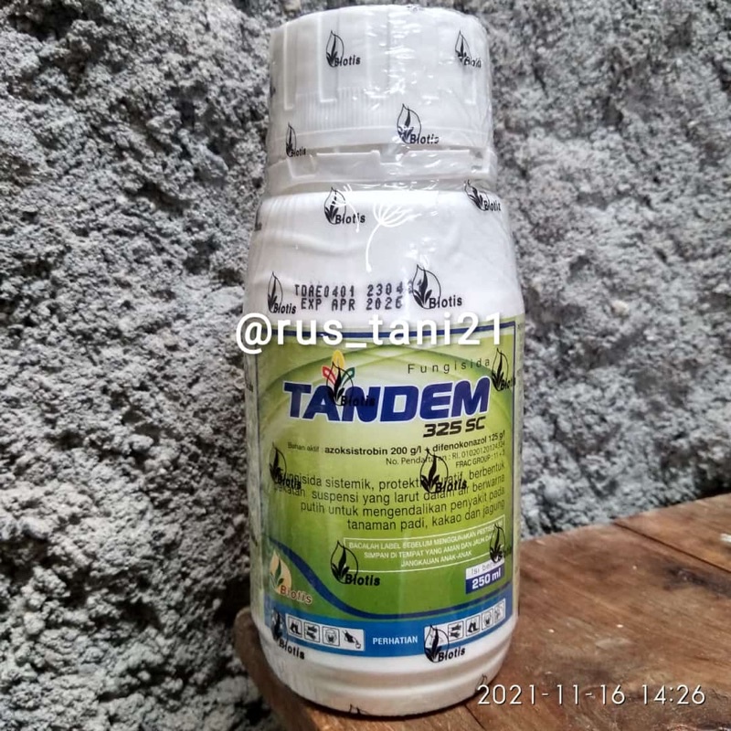 Fungisida Tandem 325SC 250ml bahan aktif : Azoksistrobin 200g/l + Difenokonazole 125g/l