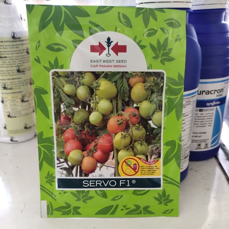 Benih tomat Servo - benih tomat unggul