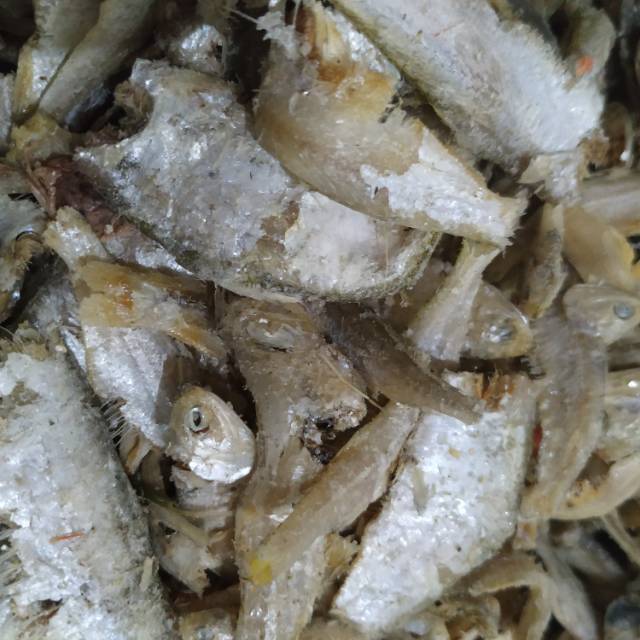 

Ikan rebus